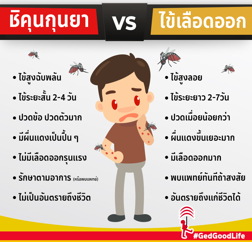 ชิคุนกุนยา vs ไข้เลือดออก