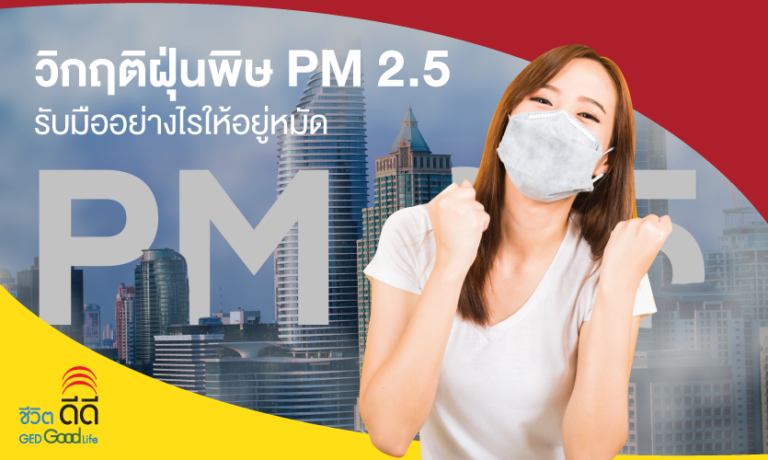 ฝุ่น PM 2.5