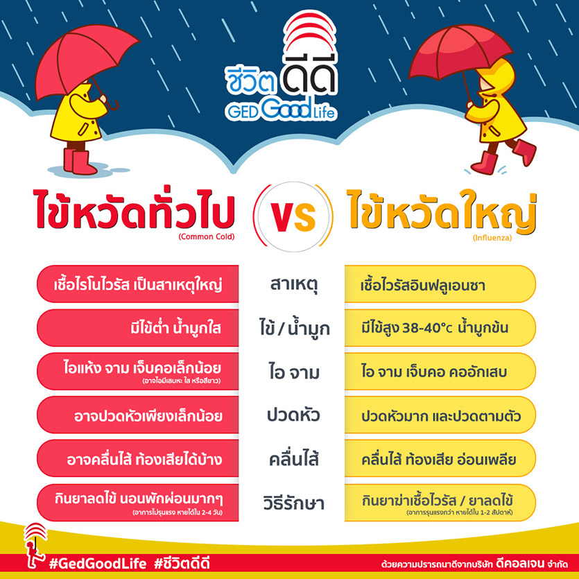 ไข้หวัด vs ไข้หวัดใหญ่