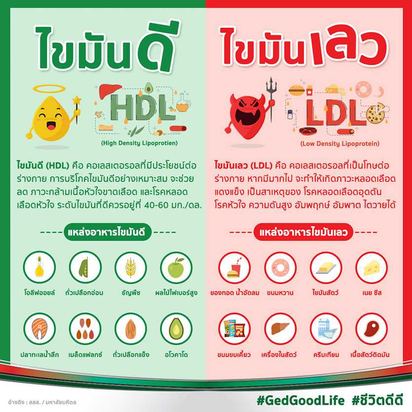 ไขมันดี Vs ไขมันเลว รู้ไว้! เลือกกินให้ดีลดคอเลสเตอรอล