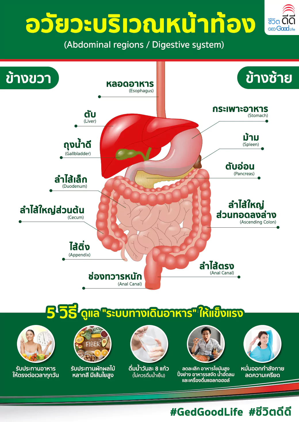 ปวดท้องเป็น ๆ หาย ๆ