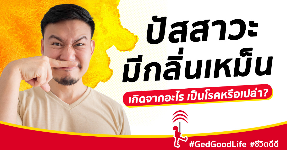 ปัสสาวะมีกลิ่นเหม็น เกิดจากอะไร เป็นสัญญาณเตือนโรคอะไรหรือเปล่า? ปัสสาวะมีกลิ่นเหม็น เกิดจากอะไร เป็นสัญญาณเตือนโรคอะไรหรือเปล่า?