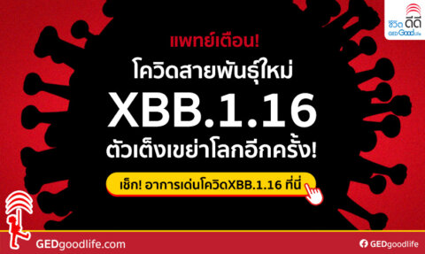 โควิดสายพันธุ์ใหม่ XBB.1.16