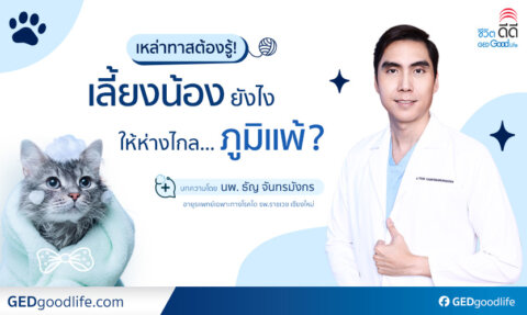 วิธีดูแล รักษา และป้องกันอาการแพ้สัตว์เลี้ยง