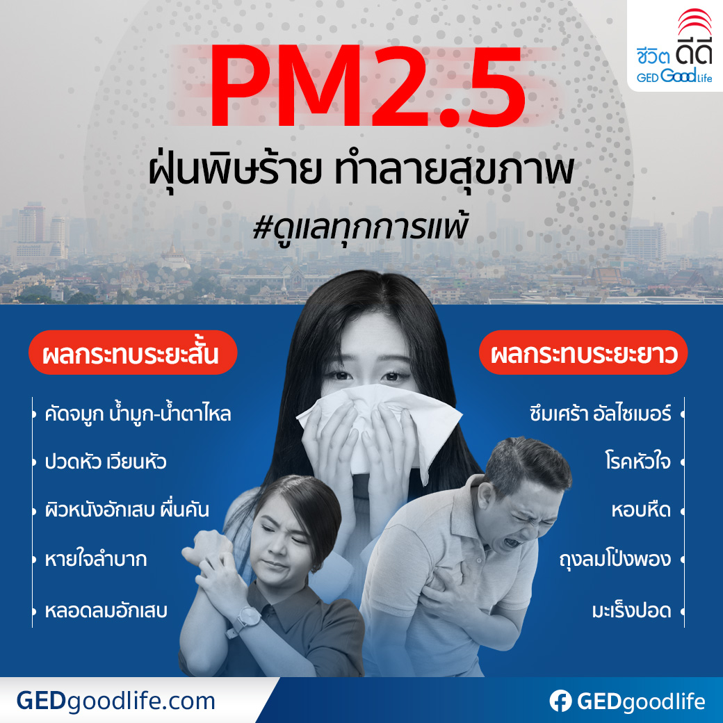 ฝุ่นPM2.5 ตัวการร้ายก่อภูมิแพ้