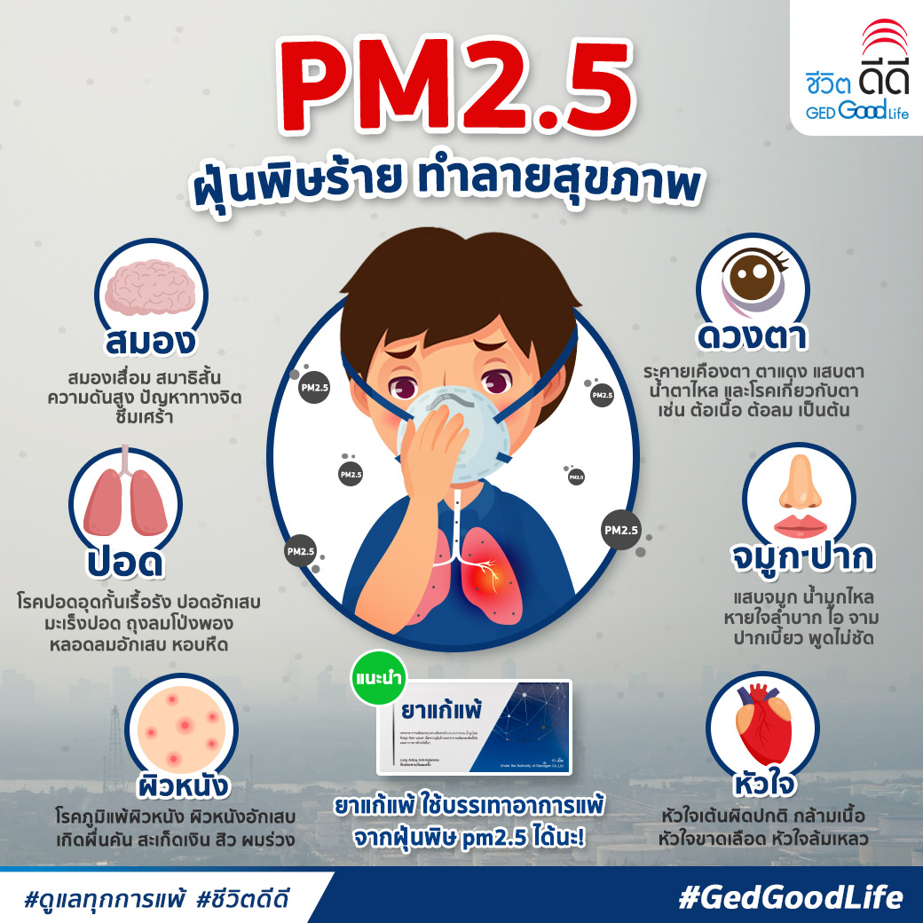 อาหารต้านฝุ่นพิษ PM2.5